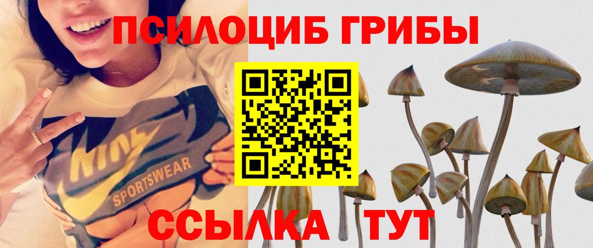 Псилоцибиновые грибы мухоморы  Вход с VPN  Амурск 